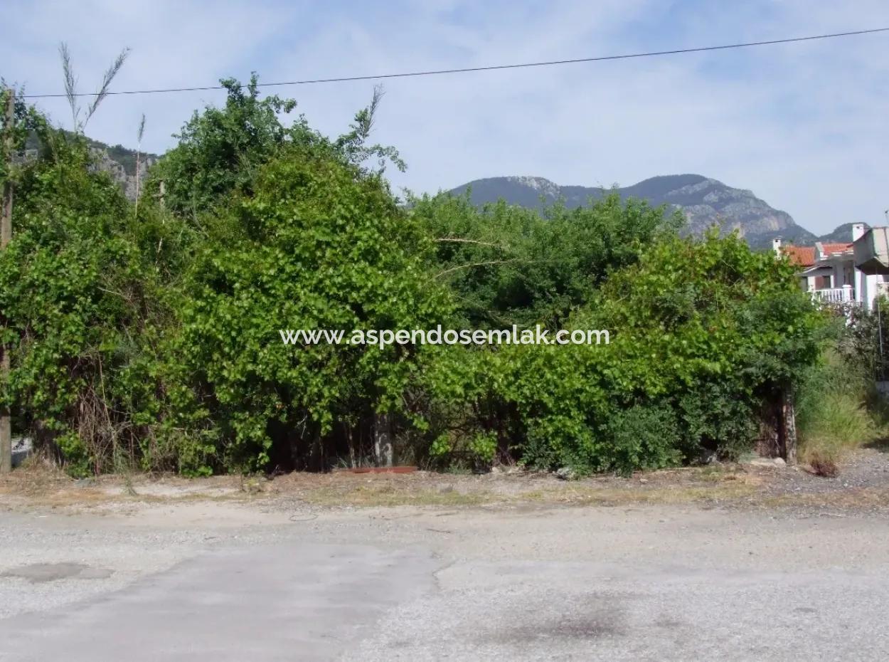 1500M2 Grundstück Zum Verkauf In Dalyan Gulpinar, Dalyan Grundstück Zum Verkauf, 40 Rechts Um Die Ecke