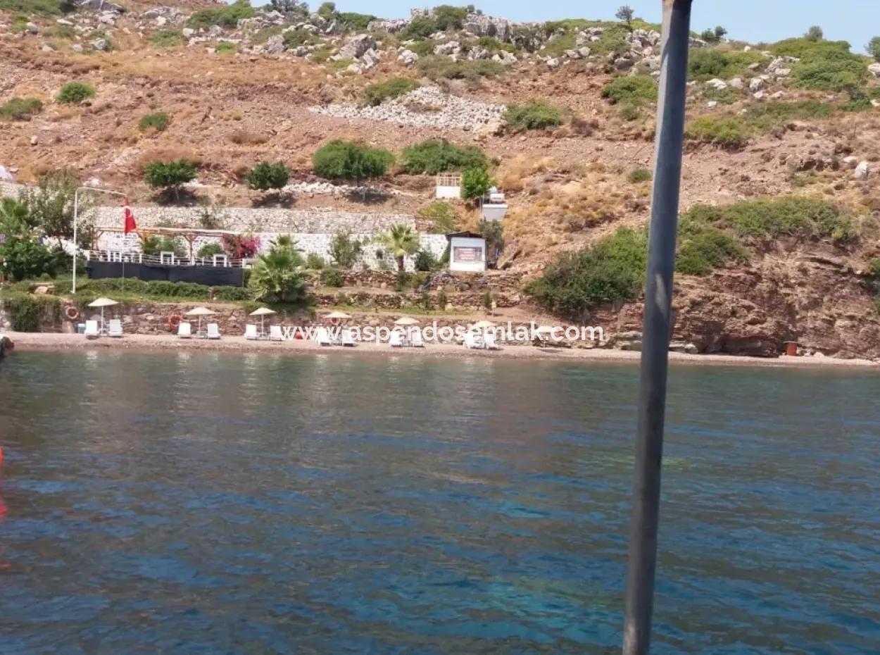 Benutzerdefinierte Dorf Am Meer Zu Verkaufen Villa Zum Verkauf In Osmanabad