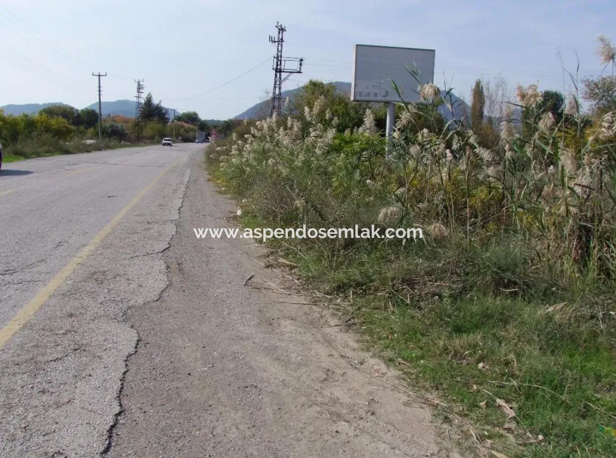 Grundstück Zu Verkaufen In Guzelyurt Land Zu Verkaufen Null 5515M2 Land Zum Verkauf An Der Hauptstraße