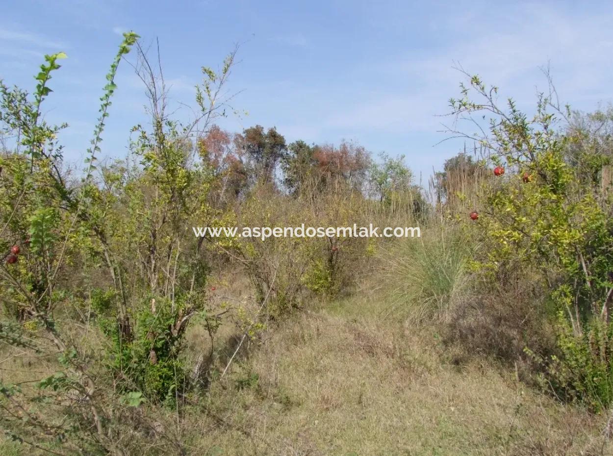 Güzelyurt Land Zu Verkaufen Dorf Gebaut 6670M2 Land Zum Verkauf