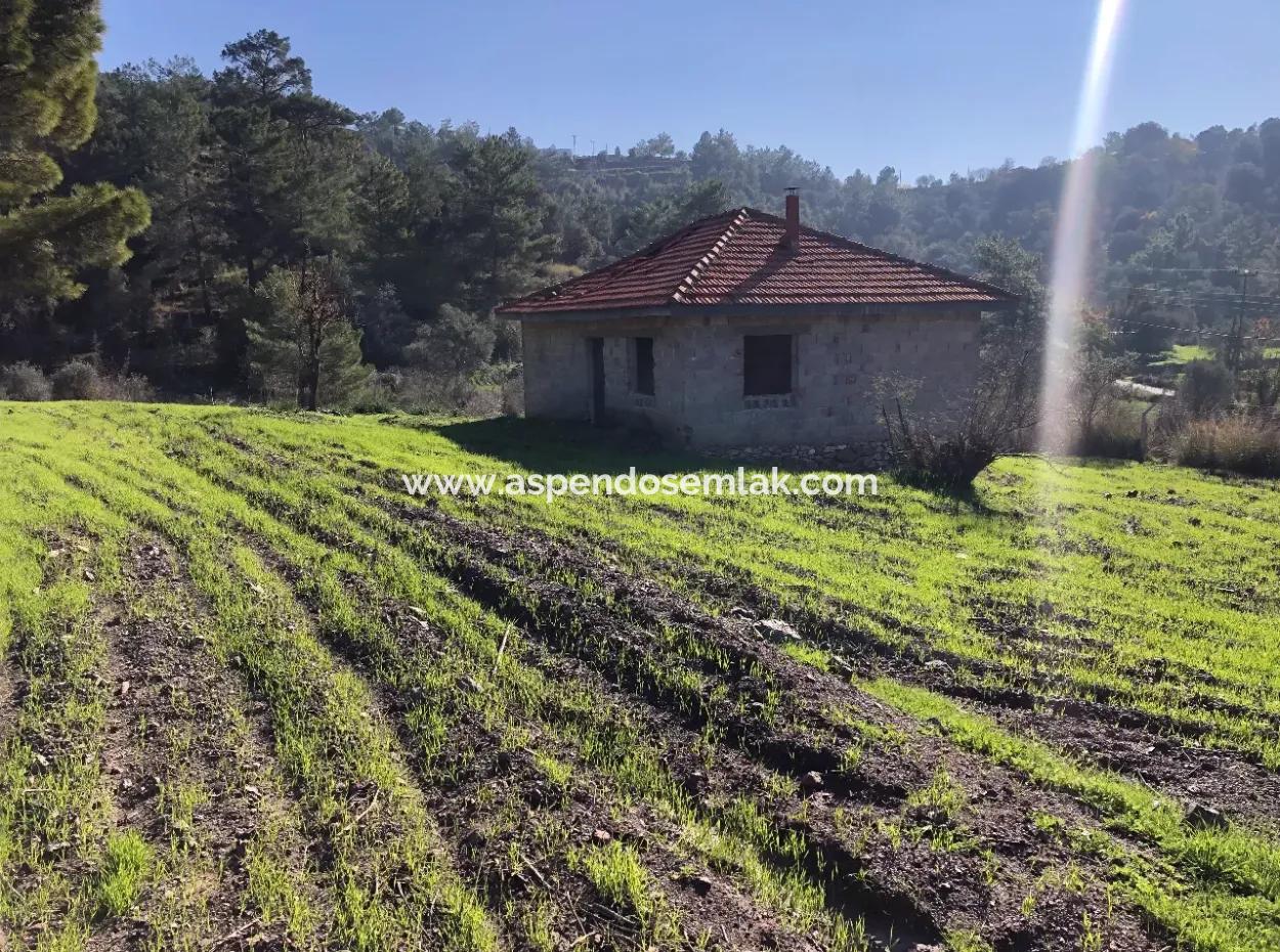 Gokbel Land Zu Verkaufen 8000M2 Land Zum Verkauf Mit Voller Meerblick