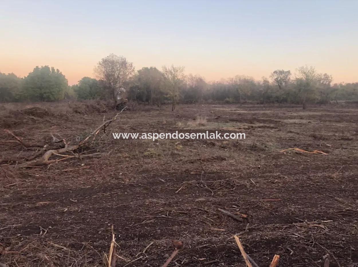 Sultaniye Land For Sale Near 10577M2 Lake Land For Sale