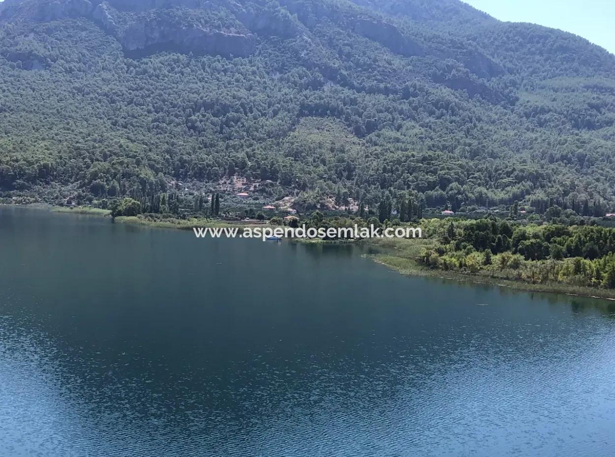 Sultaniye Land For Sale Near 10577M2 Lake Land For Sale