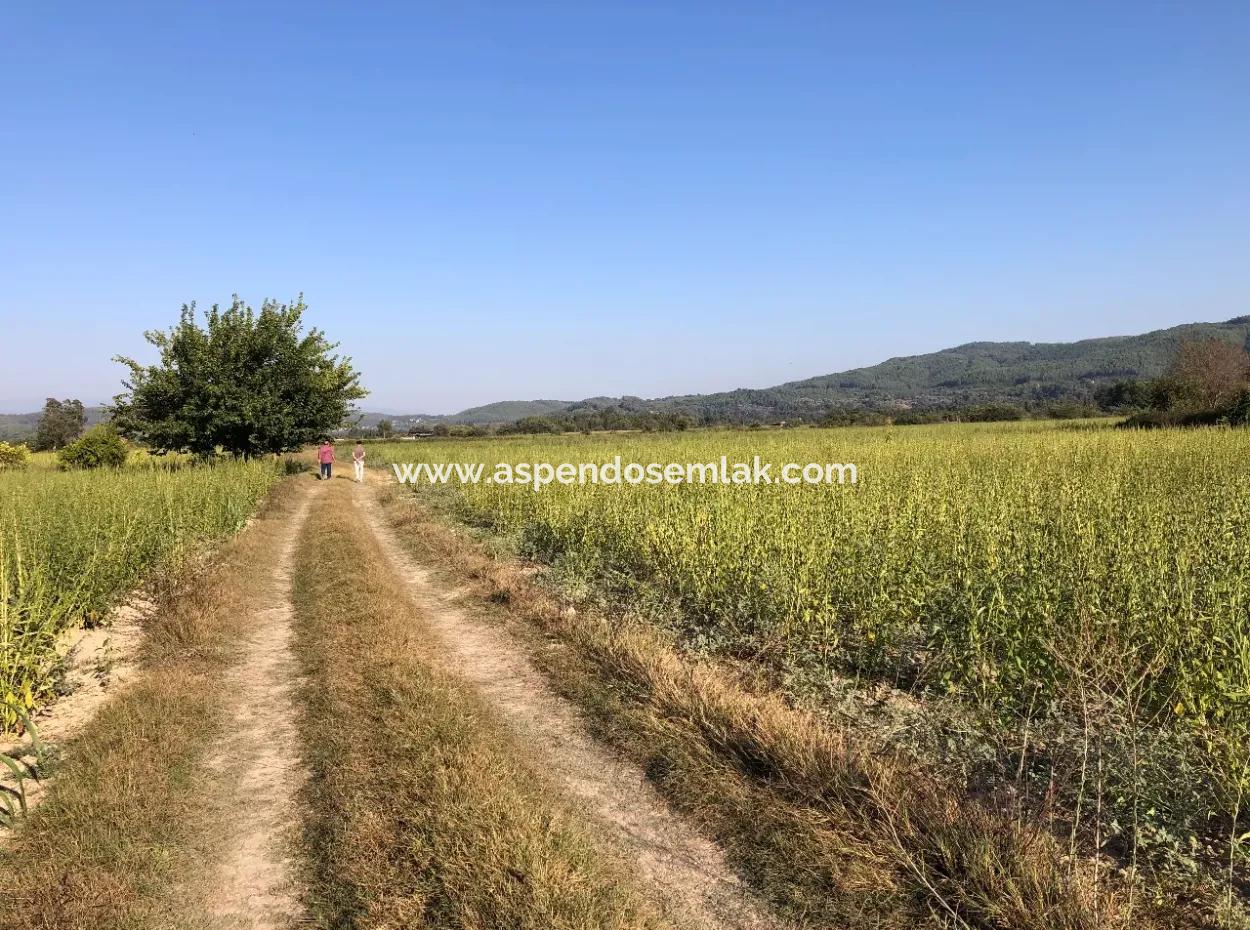 Field Zu Verkaufen In Ak'apinar 100 Acres Zu Verkaufen