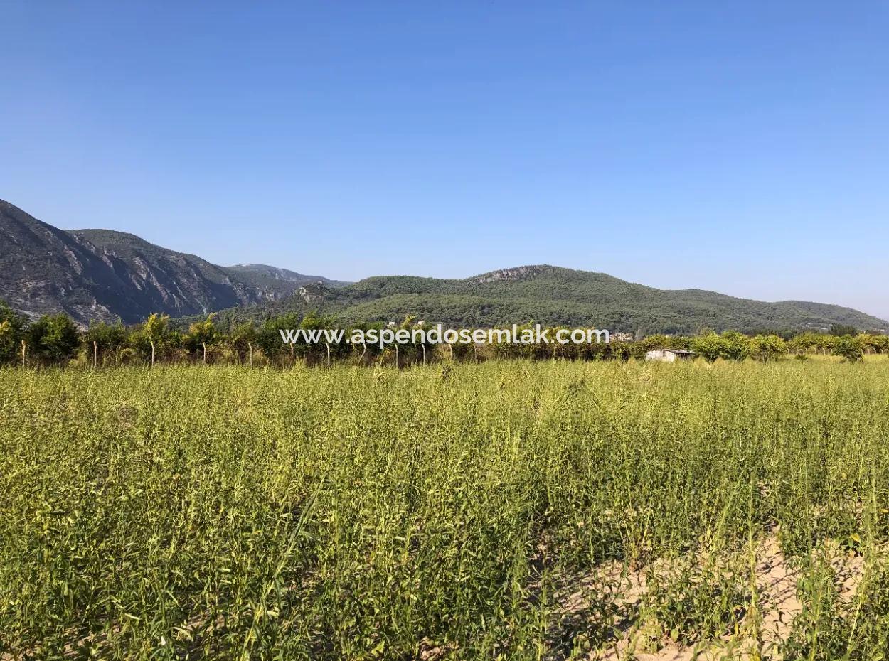 Field Zu Verkaufen In Ak'apinar 100 Acres Zu Verkaufen