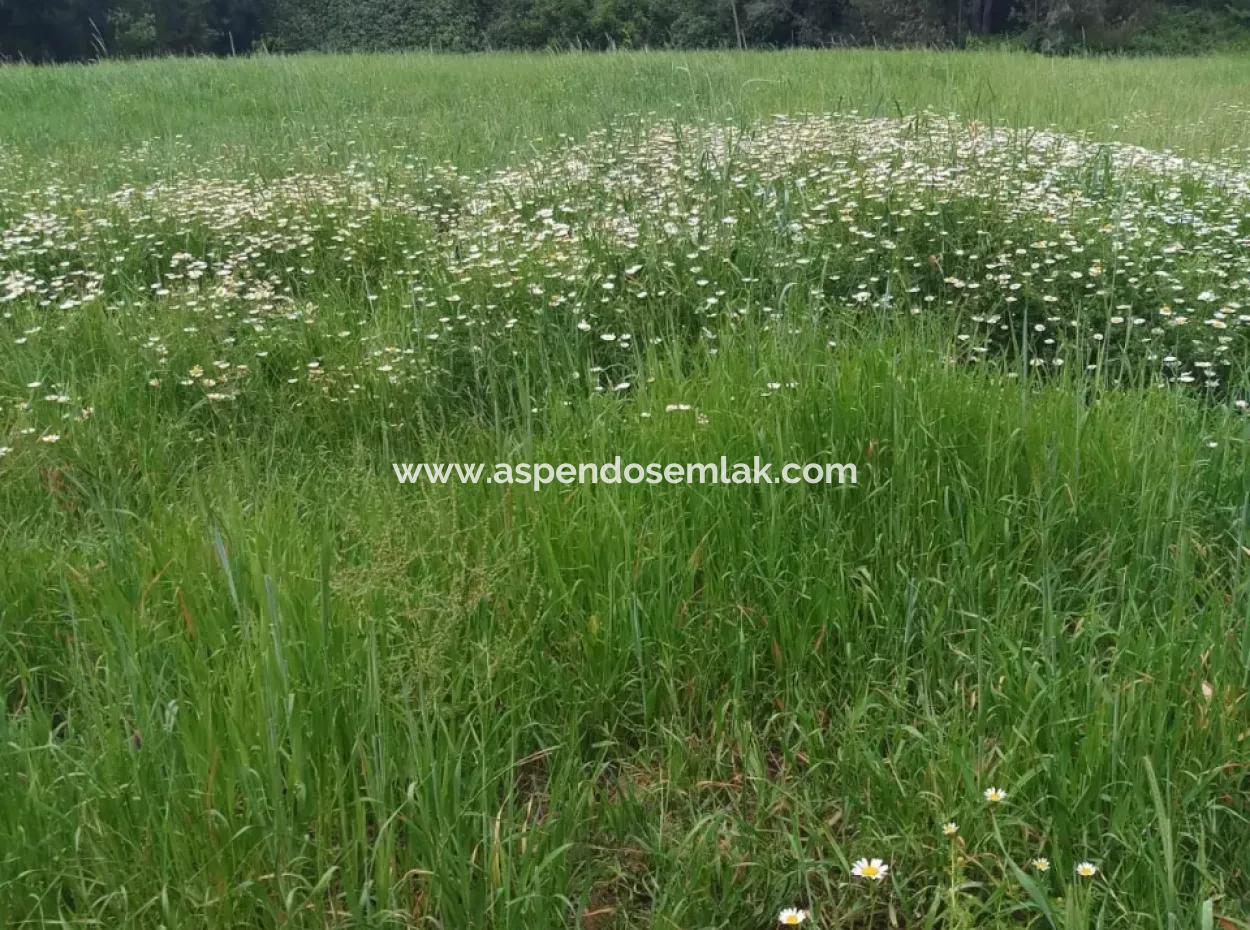 Grundstücke Zu Verkaufen In Amlida