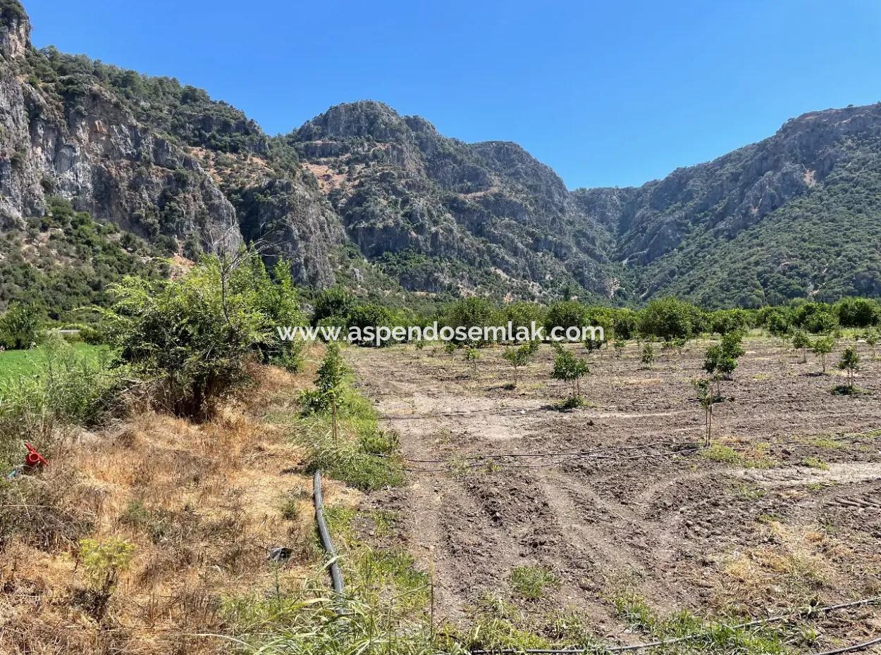 Okçular Land Zum Verkauf In Marmarlı 6500M2