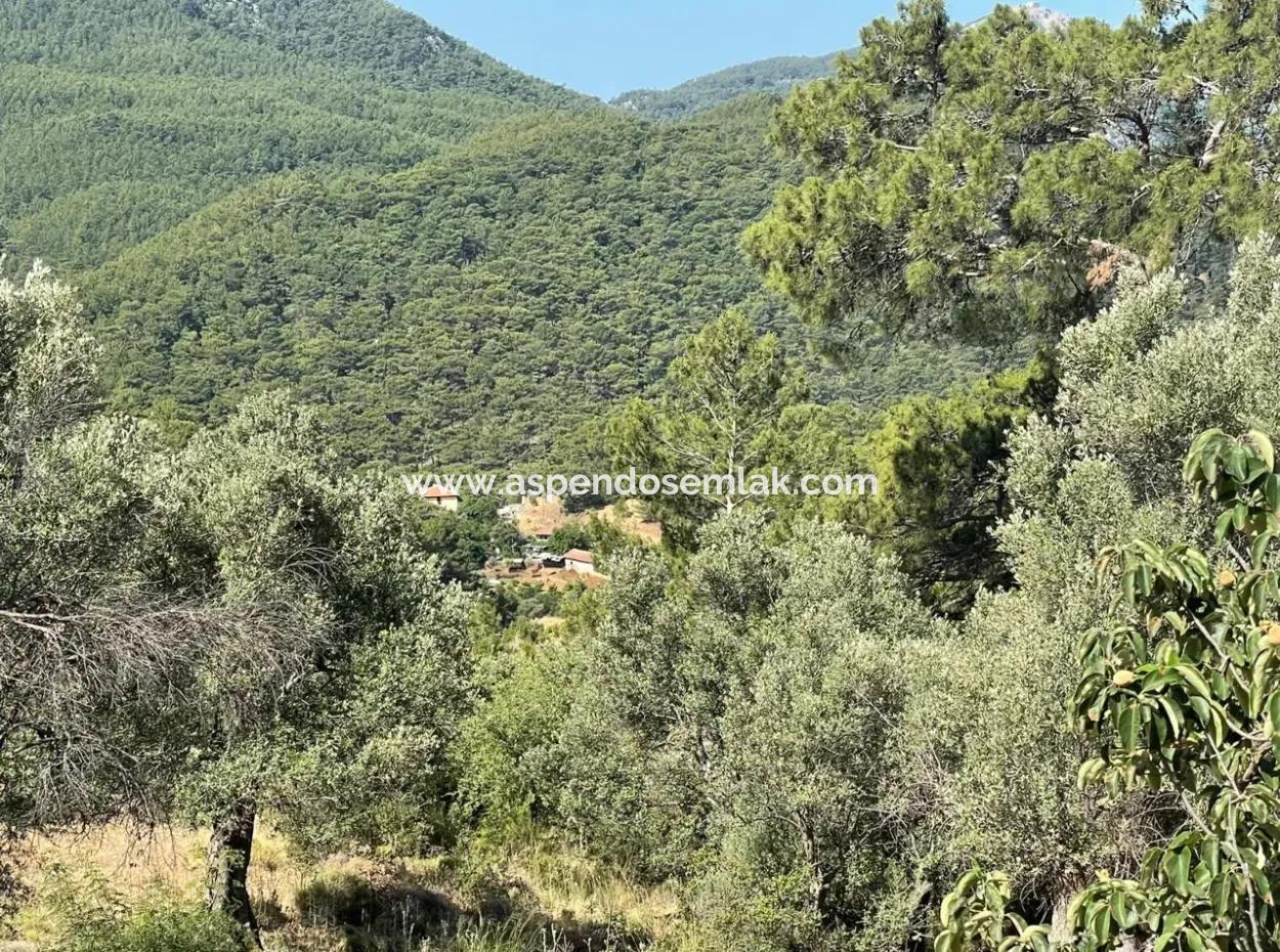 Grundstück Zum Verkauf Mit Meerblick In Gokbel