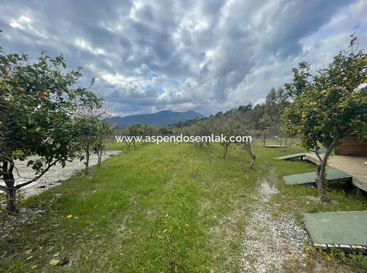 Dalyan Boutique Hotel Zum Verkauf Bungolevler Zum Verkauf In 11.000M2 Grundstück