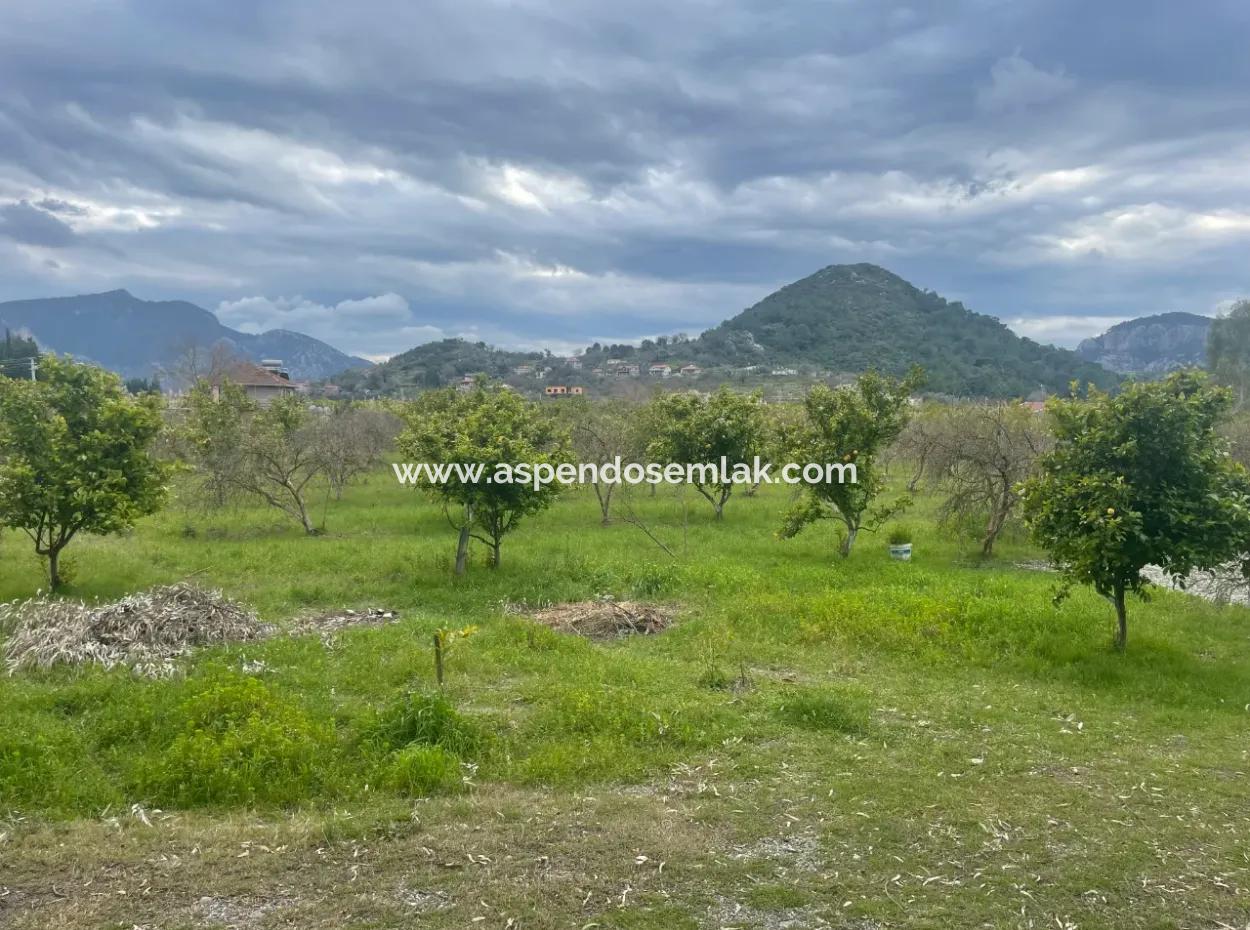 Dalyan Boutique Hotel Zum Verkauf Bungolevler Zum Verkauf In 11.000M2 Grundstück