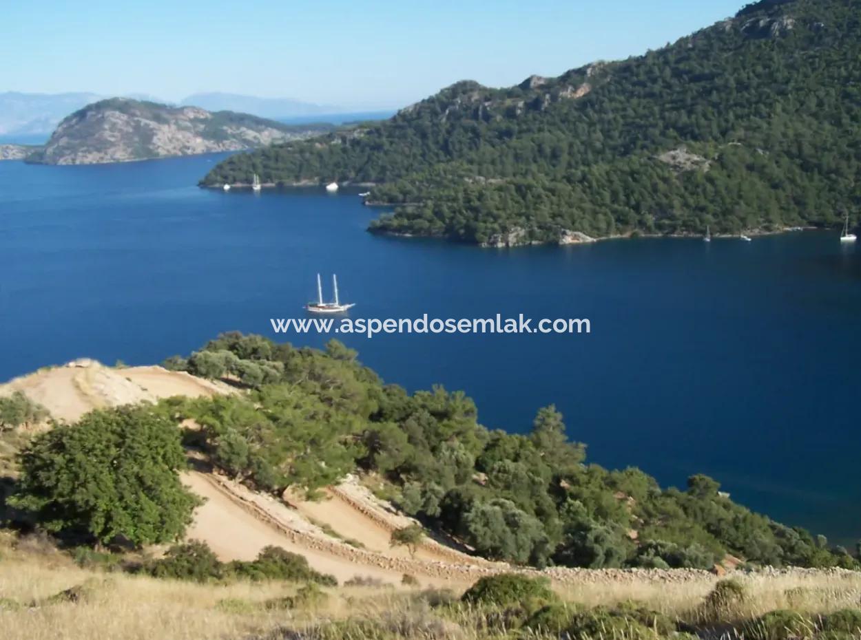 Steinhaus Zum Verkauf In Sarsalada Meerblick 4274M2 Grundstück