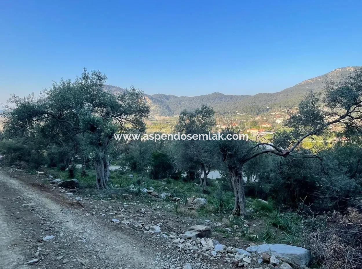 Çandır See Meerblick 2.806M2 2B Feld Zum Verkauf