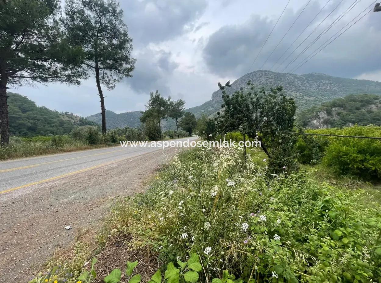 Gökbelde 14.000M2 Feld Zu Verkaufen