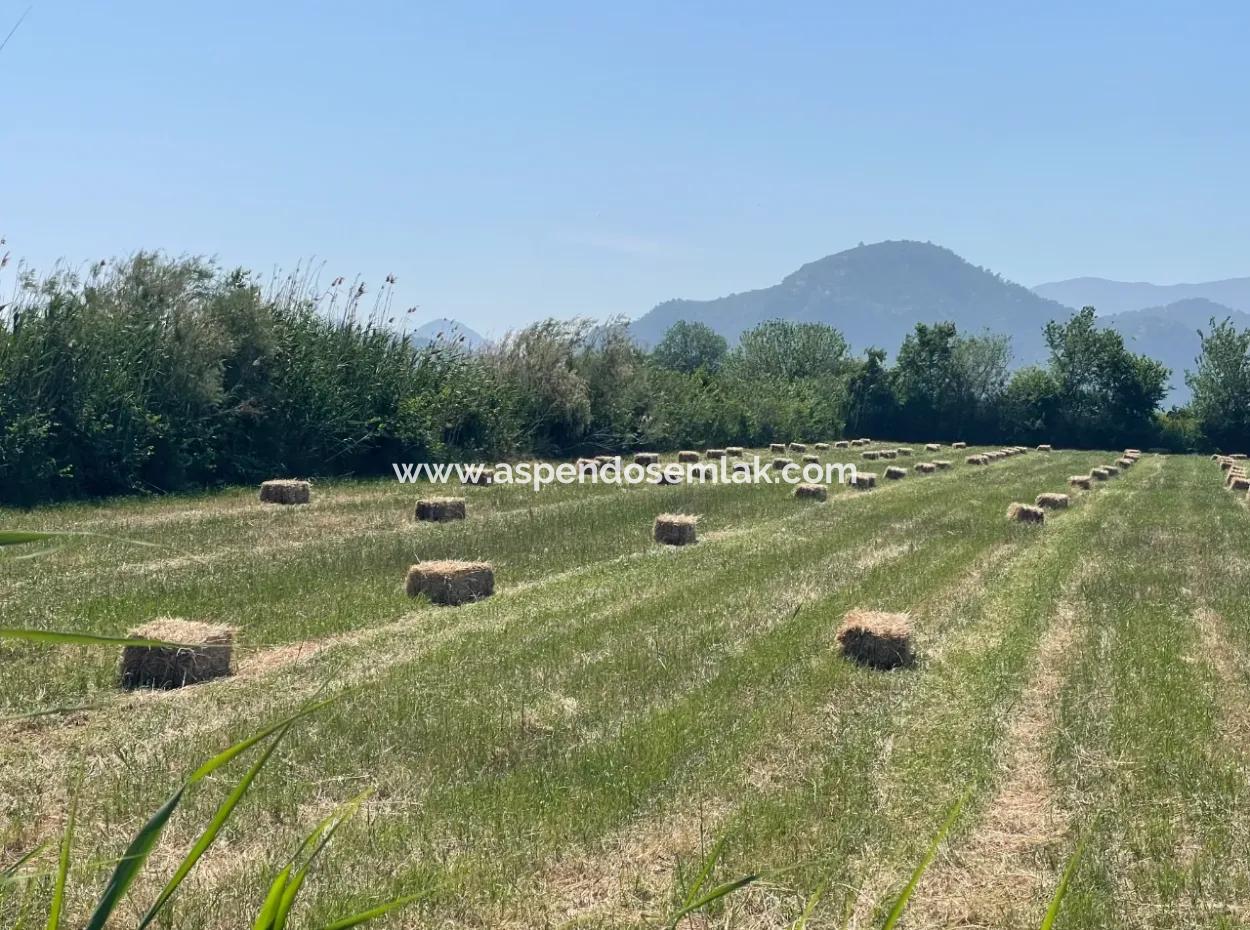 6.500 M2 Feld Zum Verkauf An Der Iztuzu-Straße In Dalyan
