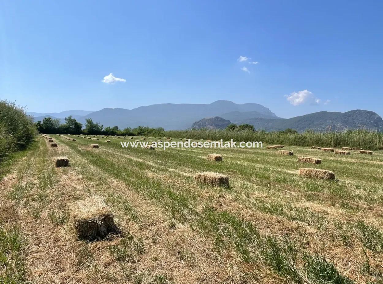 6.500 M2 Feld Zum Verkauf An Der Iztuzu-Straße In Dalyan