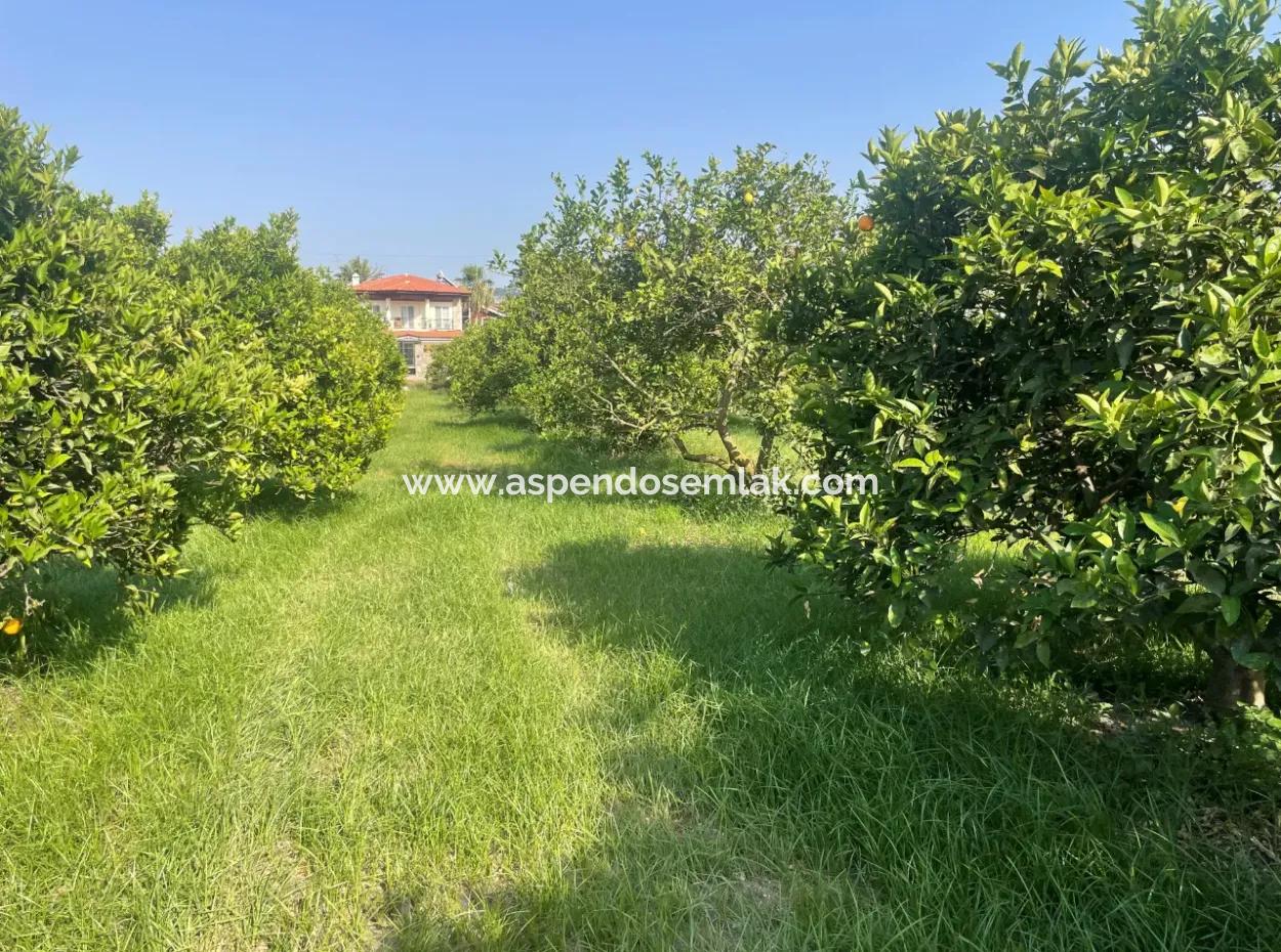 Grundstück Zum Verkauf In Gulpinar, Dalyan 722M2