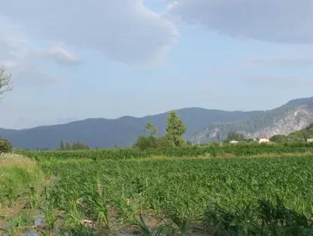 Bauernhof Zum Verkauf In Der Nähe Des Zentrums Von Dalyan,14, 612M2 Bauernhof Zum Verkauf