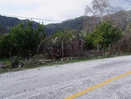 Zum Verkauf In Koycegiz, Dalyan Grundstück Zum Verkauf 10629M2