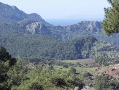 Landwirtschaftliche Grundstück Zum Verkauf Mit Meerblick Zum Verkauf In Gokbel