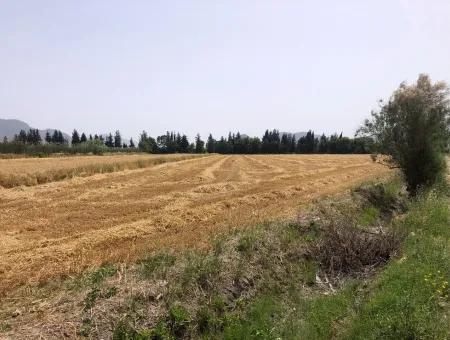 Ackerland Zum Verkauf 39 Hektar In Eskikoy