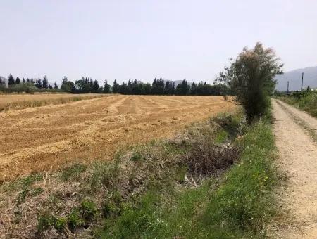 Ackerland Zum Verkauf 39 Hektar In Eskikoy