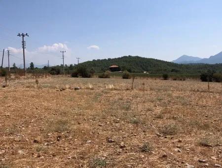 11.227M2 Grundstück Zum Verkauf Mit Seeblick In Köyceğiz Zeytinalan