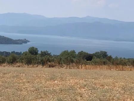 11.227M2 Grundstück Zum Verkauf Mit Seeblick In Köyceğiz Zeytinalan