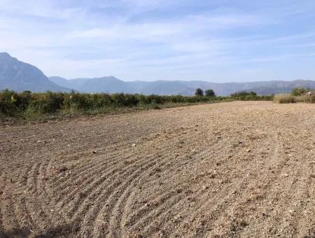 Ackerland Zu Verkaufen In Esköy 8500M2 Ackerland Zu Verkaufen