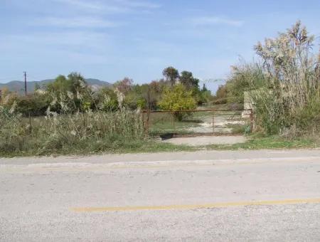 Grundstück Zu Verkaufen In Guzelyurt Land Zu Verkaufen Null 5515M2 Land Zum Verkauf An Der Hauptstraße