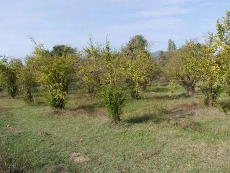 Güzelyurt Land Zu Verkaufen Dorf Gebaut 6670M2 Land Zum Verkauf