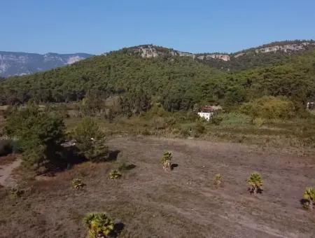 Land Zum Verkauf In 'Aml'da Marmaris 'Aml'da Meerblick 11720M2 Land Zu Verkaufen