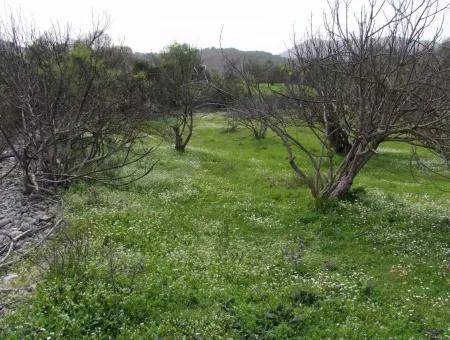 In Incirkoy Uzumlu Fethiye Grundstück Für Verkauf Bauernhof Zum Verkauf In Incirkoy