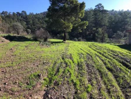 Gokbel Land Zu Verkaufen 8000M2 Land Zum Verkauf Mit Voller Meerblick