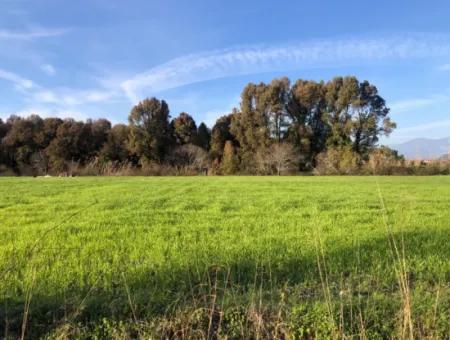 Bogenschützen Land Zu Verkaufen Marmarli 1500M2 Land Zu Verkaufen