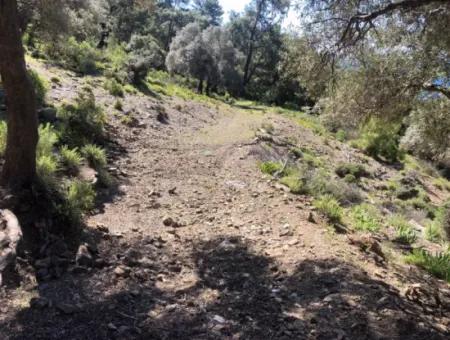 Grundstück Zum Verkauf Mit Meerblick In Çandir