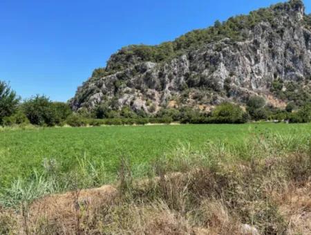 Okçular Land Zum Verkauf In Marmarlı 6500M2