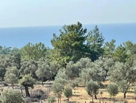 Feldgrundstück Zum Verkauf Mit Meerblick Von Çandir