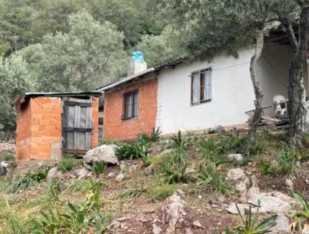 Olivenhaus Mit Meerblick In Ekincik Steht Zum Verkauf