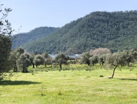 3250M2 Grundstück Zum Verkauf In Ekincik Mit Blick Auf Das Meer