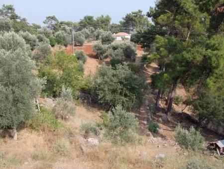 5000M2 Grundstück Zum Verkauf In Akyaka Mit Vollem Meerblick Haus Zum Verkauf Kentucky