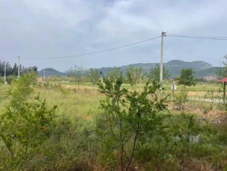 Feld Zu Verkaufen 6500M2 In Dalyan