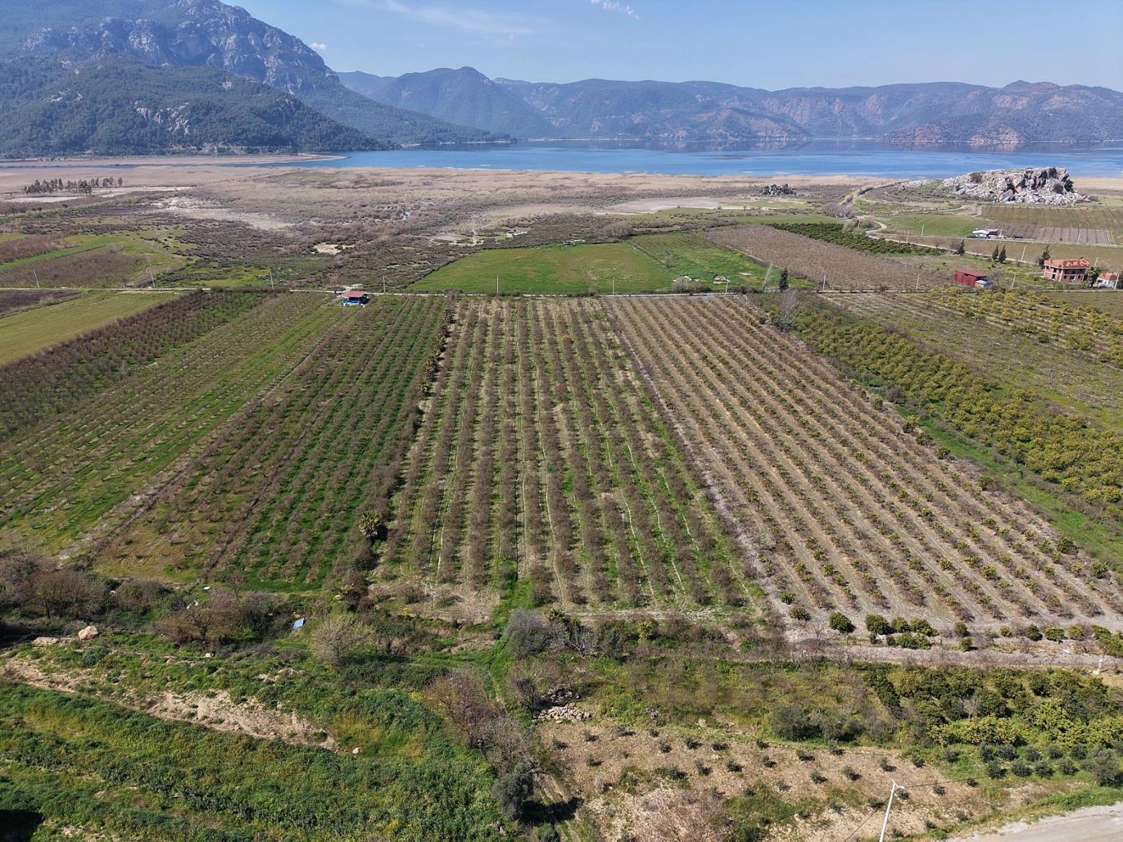 16.710M2 Pomegranate Garden For Sale With Lake View In Eskiköy