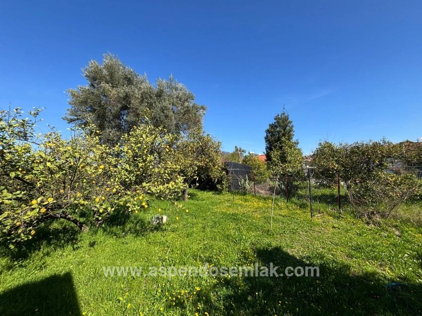 2+1 Bedroom Detached house For sale in Okçular Nbh. Ortaca - 459 m²