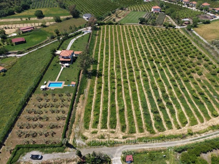 5100M2 Plot Of Land For Sale Near Dalyan Town Center.