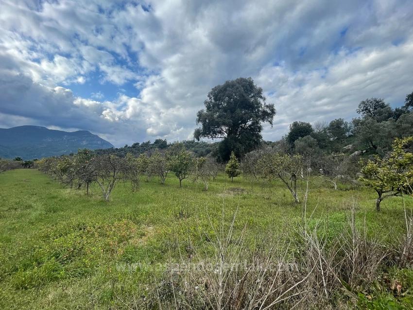 Boutique Hotel And Bungalows For Sale On An 11,000M2 Plot In Dalyan