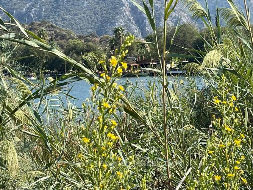2765M2 Detached House For Sale In Çandır, Right Next To The Canal