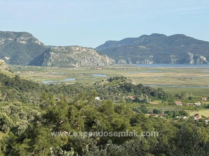 Field For sale in Çandır Nbh. Köyceğiz - Field Zoned - 1.252 m²