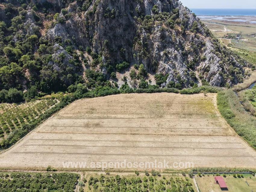 Field For sale in Dalyan Nbh. Ortaca - Field Zoned - 20.786 m²