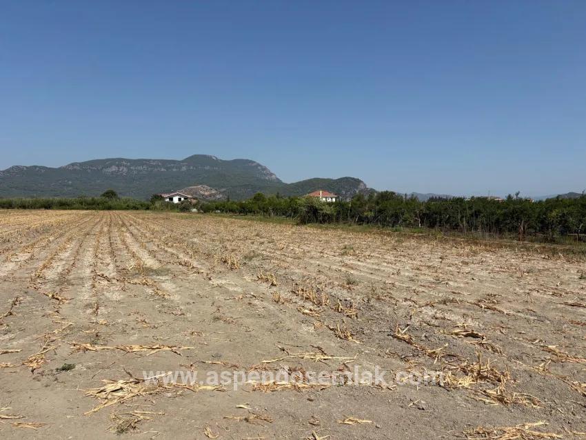 Field For sale in Dalyan Nbh. Ortaca - Field Zoned - 20.786 m²