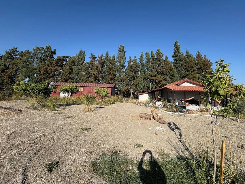 19,663 M² Farm Land And House In Eskiköy